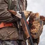 mossberg-international-silver-reserve-field_lead.jpg