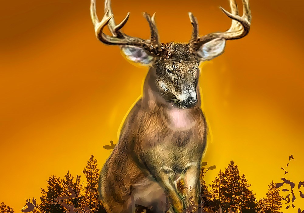 Illustration of whitetail buck along orange and yellow skyline.