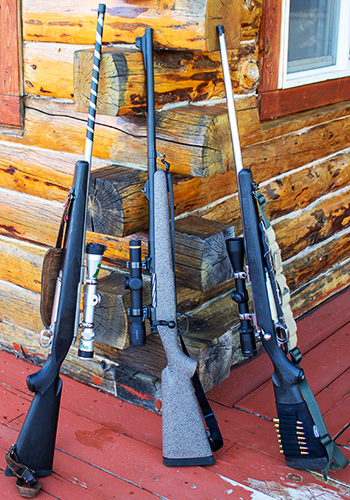 Synthetic Stock Rifles in Alaska