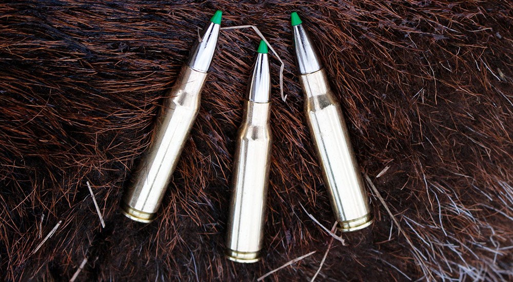 Norma EcoStrike .308 Winchester Ammunition