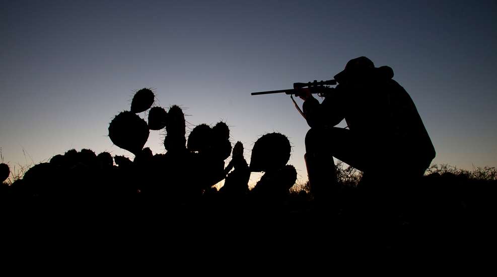 Anatomy Of A Long Range Shot Lead