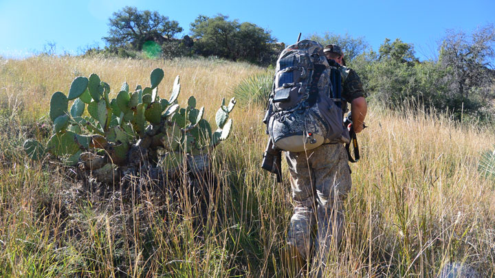 Hunter hiking by cactus