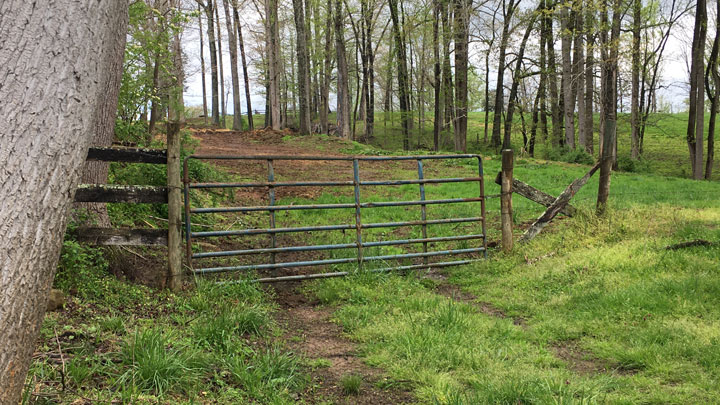 Red gate on a road