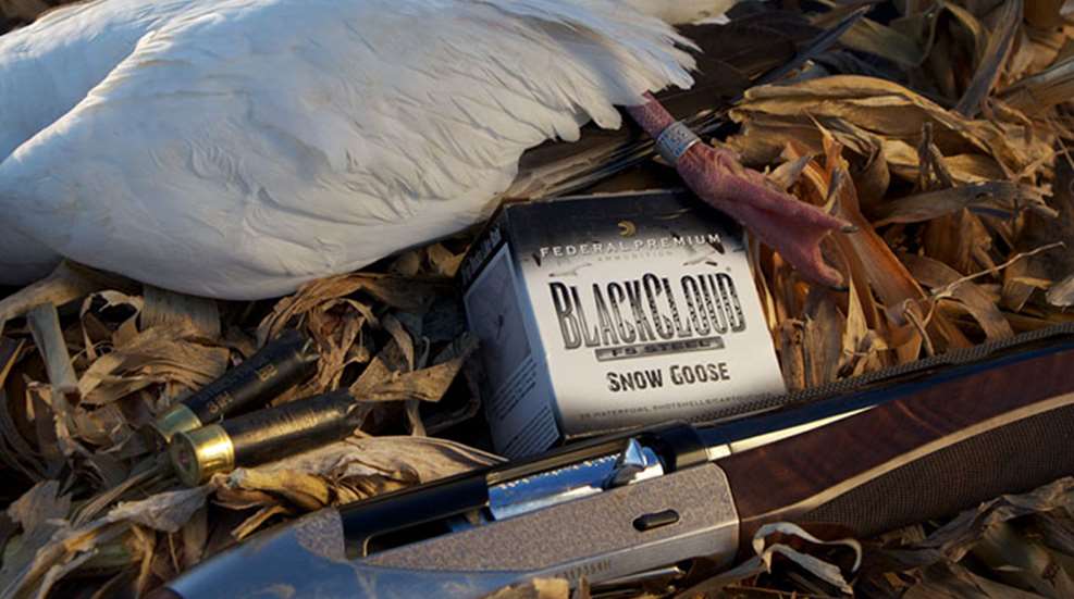 goose_gal_f.jpg