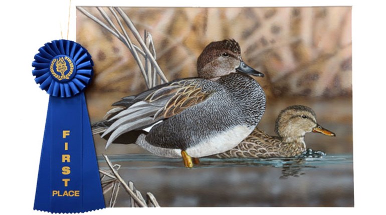 Maryland Artist Wins 2021 California Duck Stamp Contest | An Official Journal Of The NRA