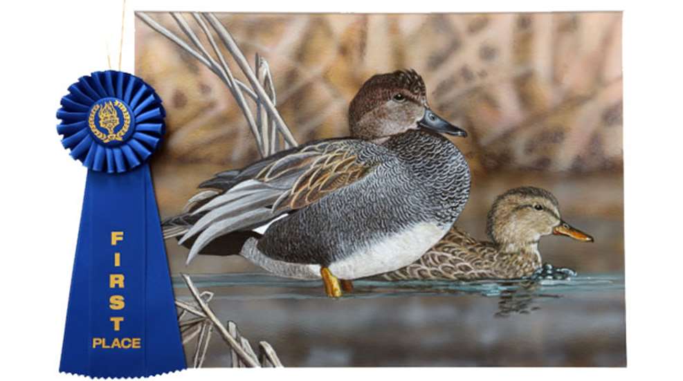 main2021-cali-duck-stamp-winner.jpg