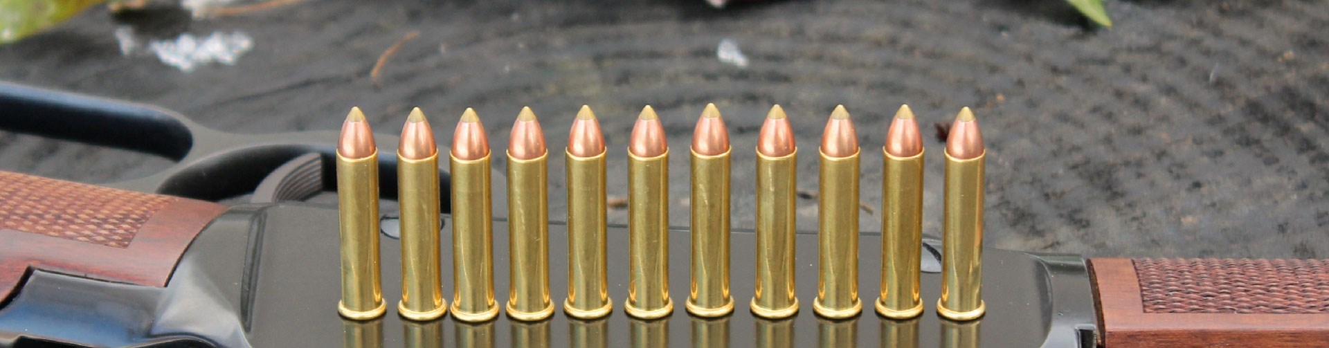 .22 Magnum shells on Henry Magnum Express receiver