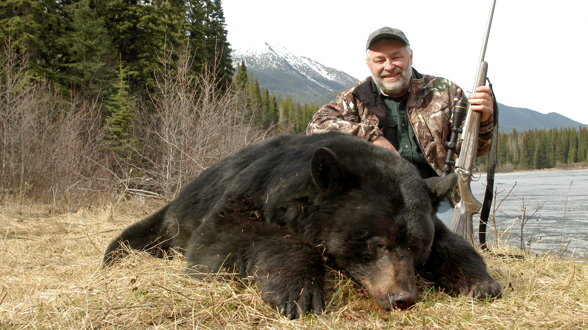 Bear