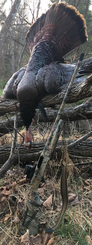 Dead turkey with fan spread on a log, and a shotgun propped against the log. Setting appears to be deep in the woods, light is fading.