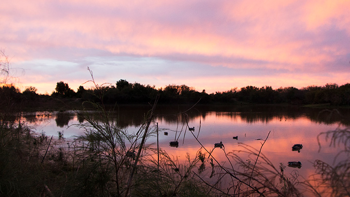 Sunrise on a lake in Ciudad Obregon