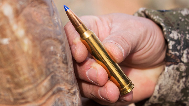 Close-Up of Hunter Holding Norma BondStrike .300 Winchester Magnum Ammo