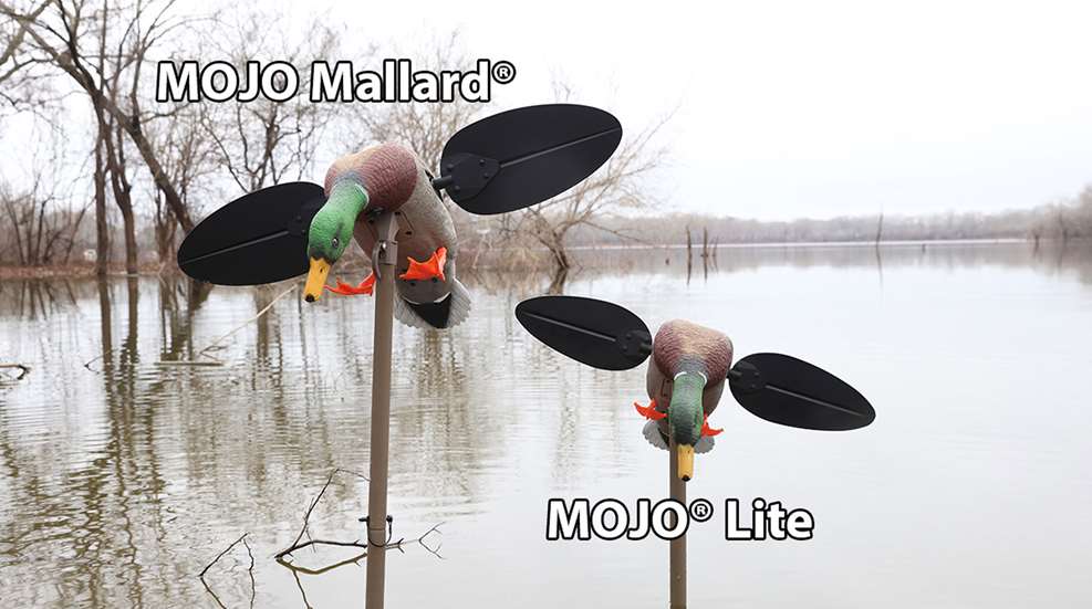 Mallard Vs. Mallard Lite
