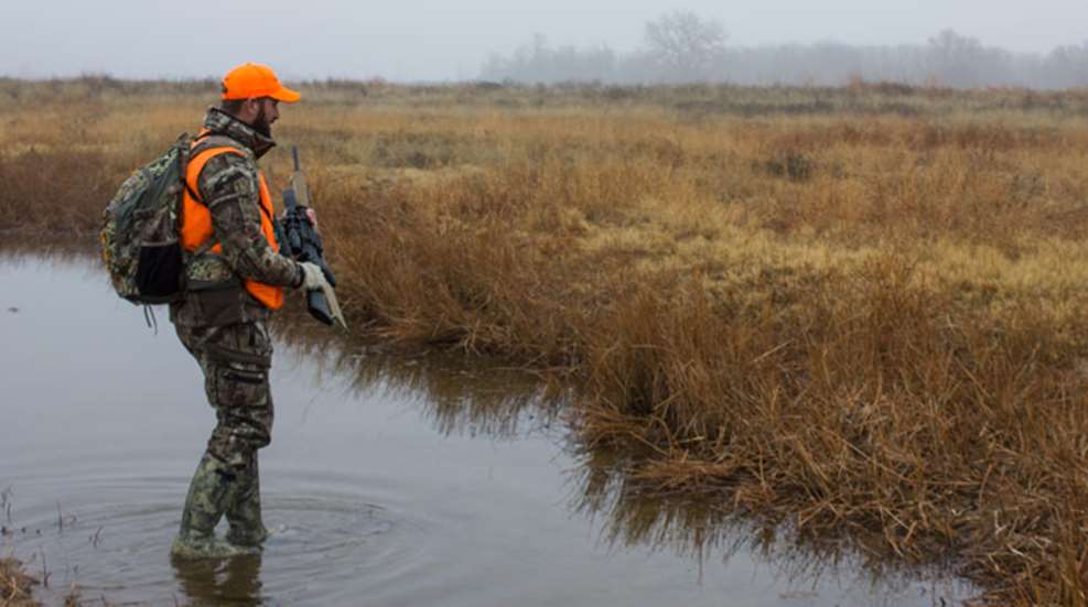 sundayhunting.jpg