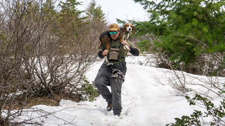 Bears Over Hounds: Chasing Black Bears in Western Idaho | An Official Journal Of The NRA