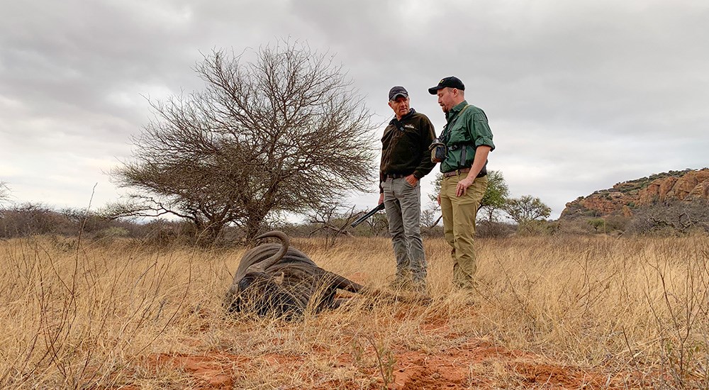 Two hunters standing in South Africa field next to Cape buffalo on the ground.