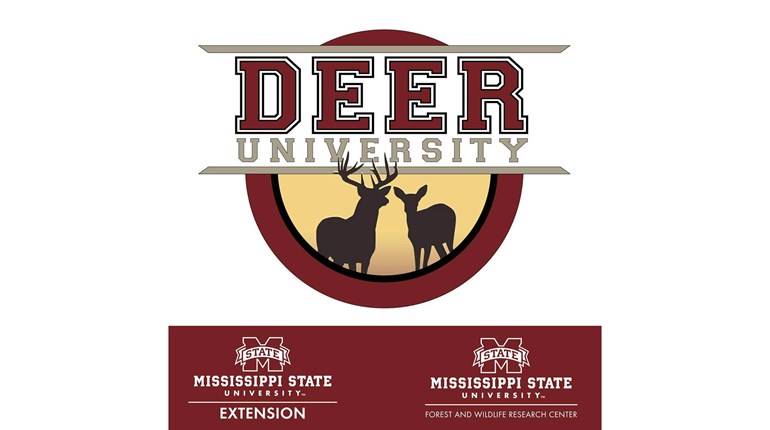 MSU Deer Lab Celebrates 50 Years | An Official Journal Of The NRA