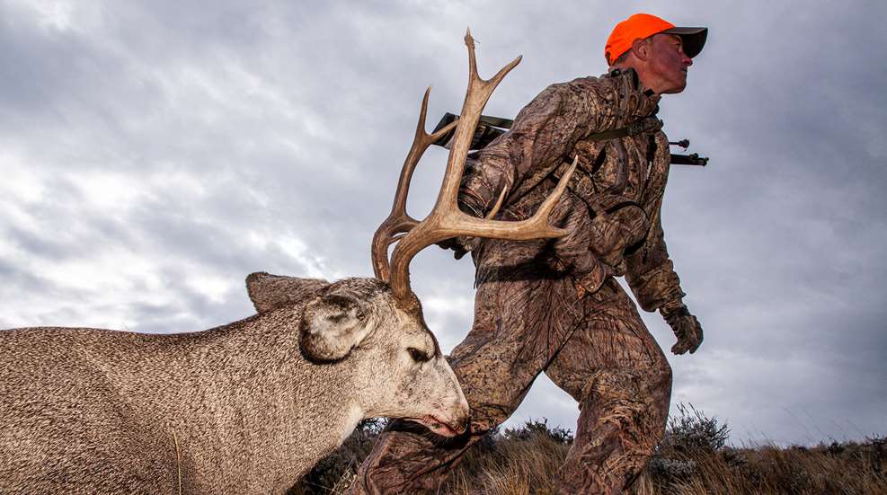 Can You Go Deer Hunting With a 17 HMR? Expert Insights