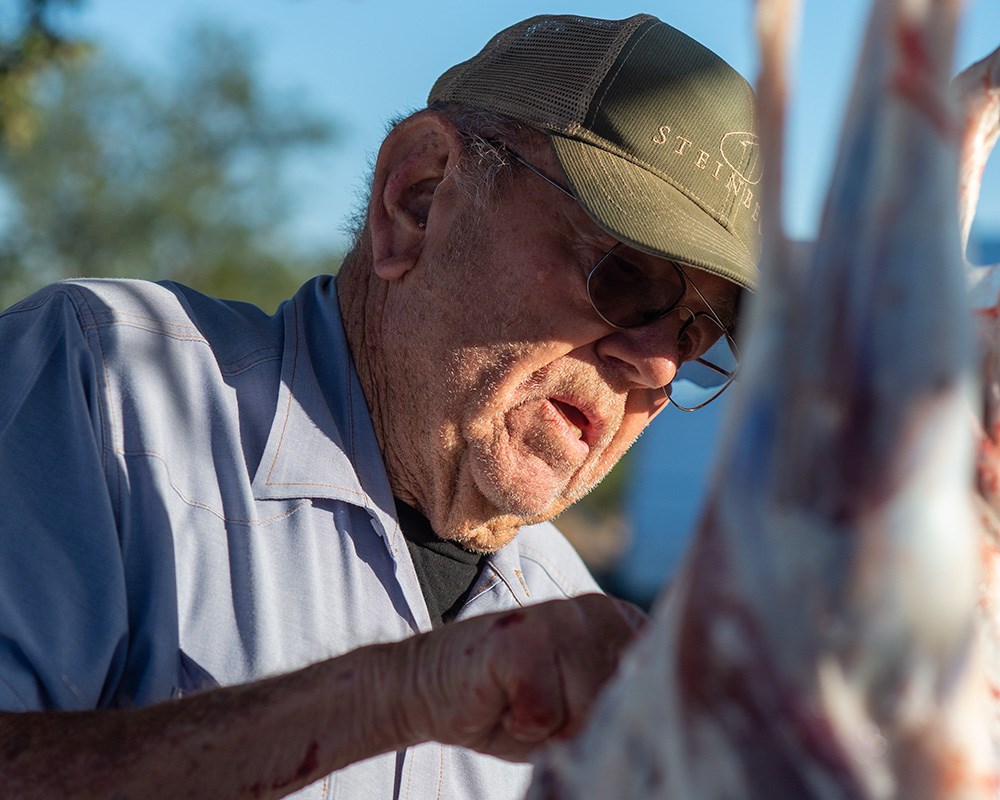 Elderly male skinning blacktail deer.