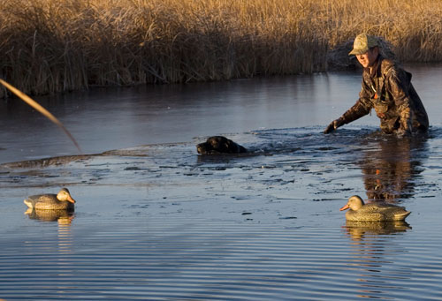 Jump In: The Water's Freezing!