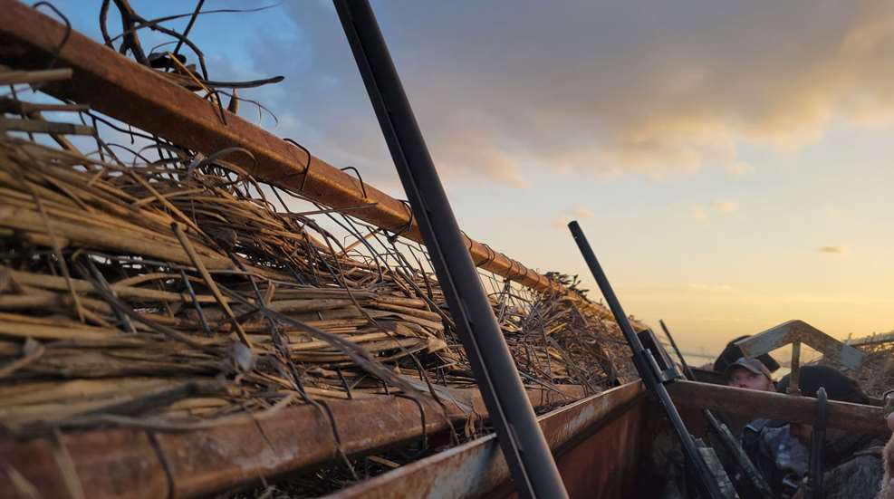Arkansas Duck Blind At Dawn