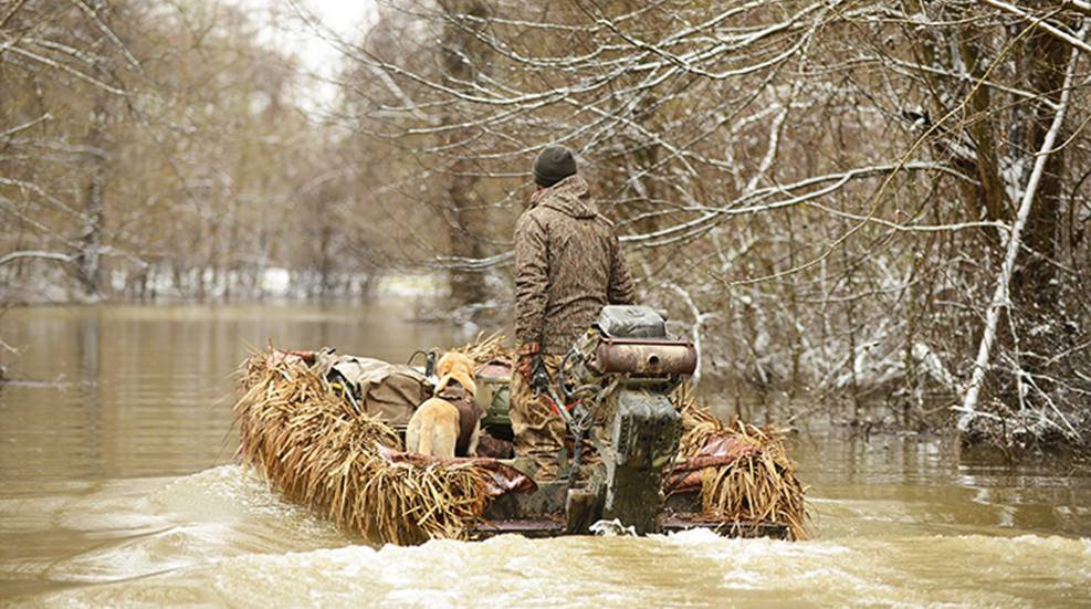 adaptingwaterfowl_lead.png