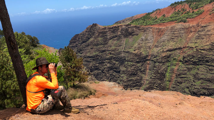 Hunter sits cross-legged by a tree, and glasses a nearby ridgeline from the top of a cliff.