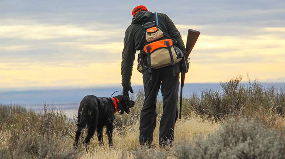 2019newgundoggear_lead.jpg