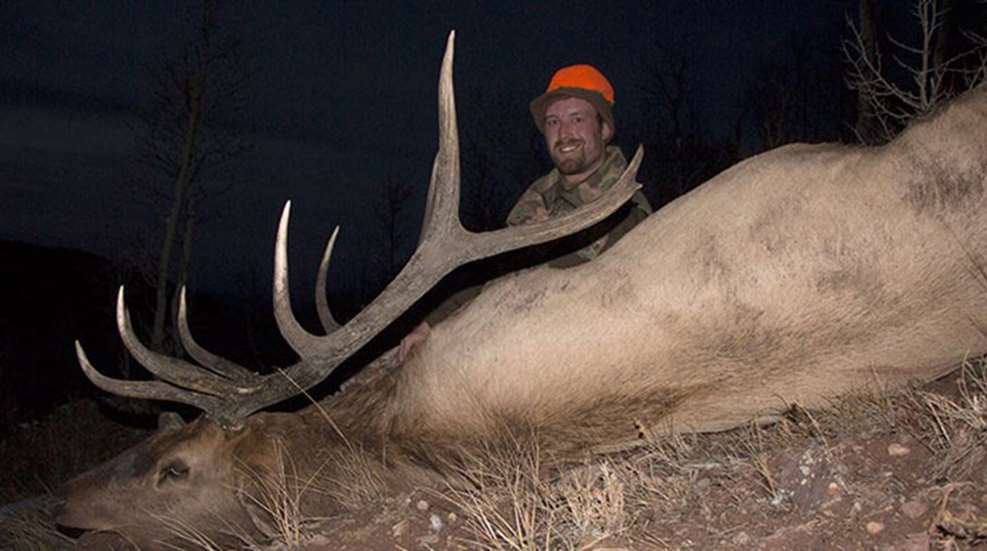 400_yard_elk_f.jpg