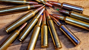 10 Most Versatile Long-Range Hunting Cartridges