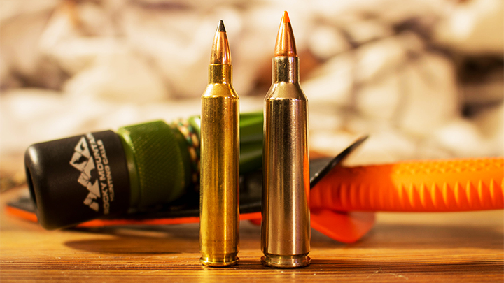 .204 Ruger, left and .22-250 Remington, right, side by side