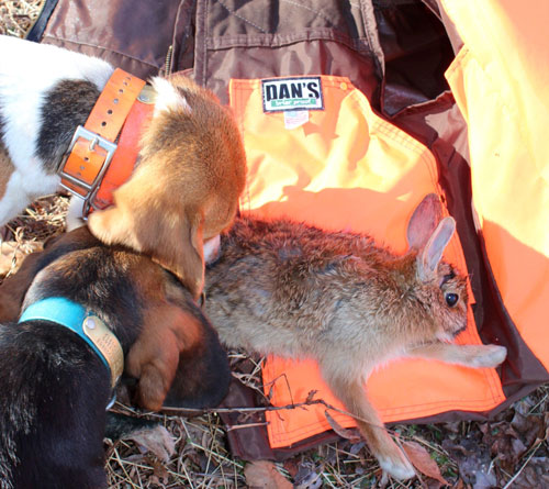 Skinning cleaning and cooking