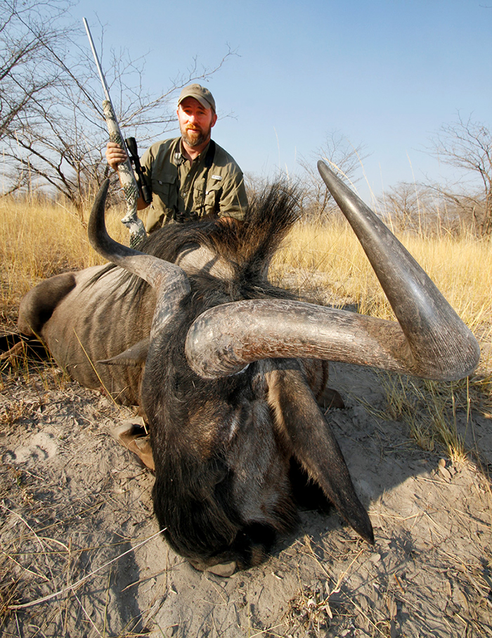 Blue Wildebeest