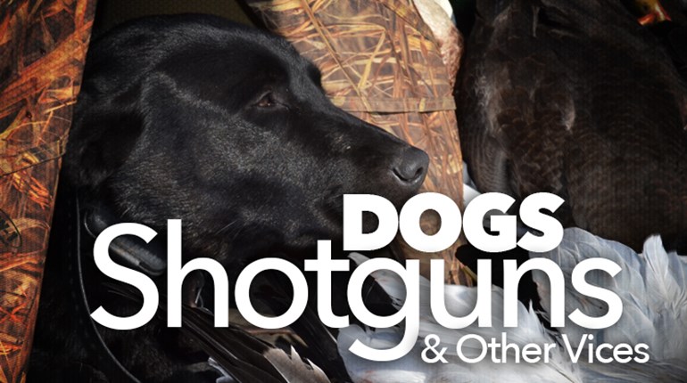 Champion Bird Dog Helps Heal Trainer's Heart Condition | An Official Journal Of The NRA