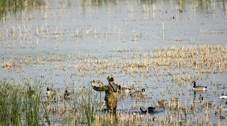 Tips for Waterfowl Hunters to Safeguard Against Bird Flu | An Official Journal Of The NRA