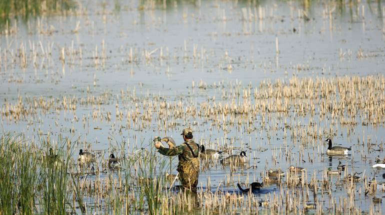 Tips for Waterfowl Hunters to Safeguard Against Bird Flu | An Official Journal Of The NRA
