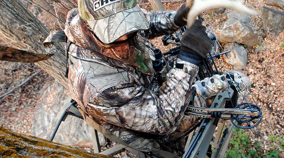 treestandfalls_lead.jpg