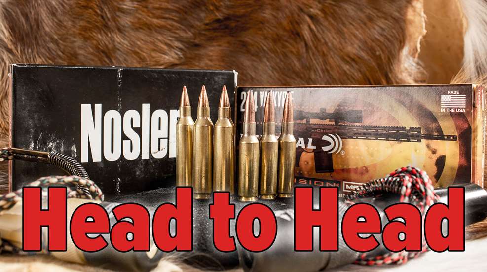 H2H 22 250 Remington Vs 224 Valkyrie Lead