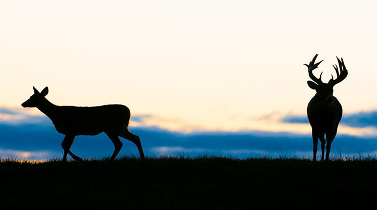 When Paradise Is Defined By the Moment | An Official Journal Of The NRA