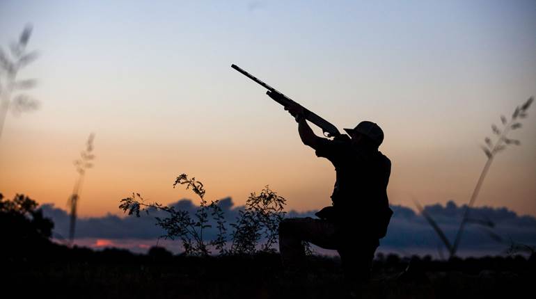 Argentina: Where Ignorance is Bliss, and the Dove Hunting is Heavenly | An Official Journal Of The NRA