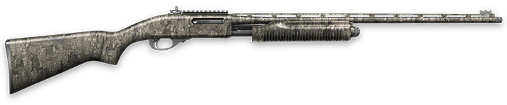 Remington 870 .410-bore