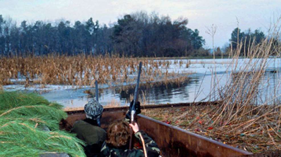 20111128132821-wing_f.jpg
