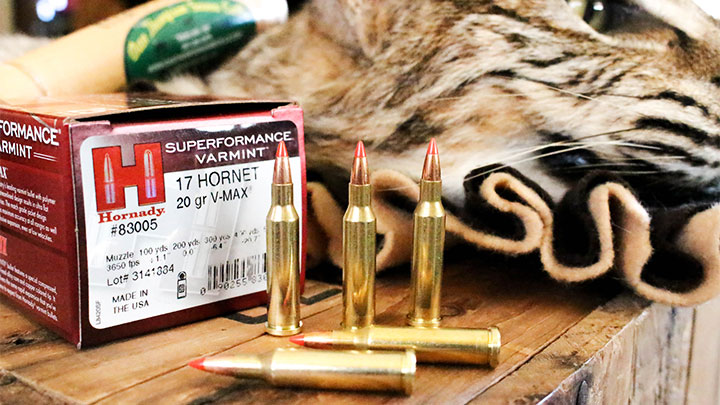 Hornady Superformace .17 Hornet with Bobcat in Background