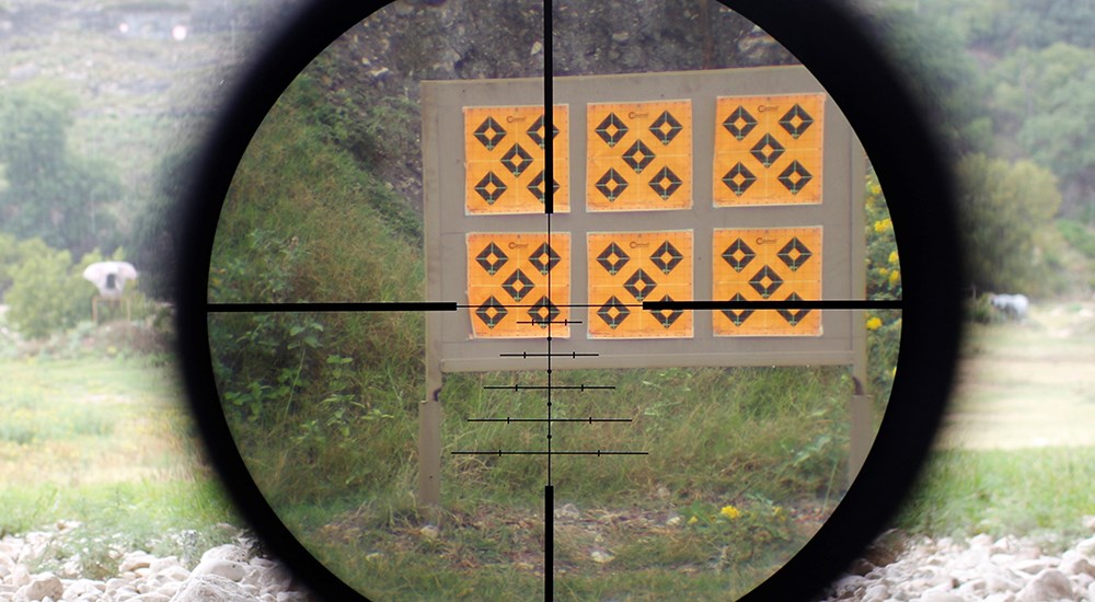 Swarovski BRX-1 reticle on target.