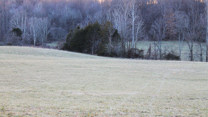 Open Field in Winter