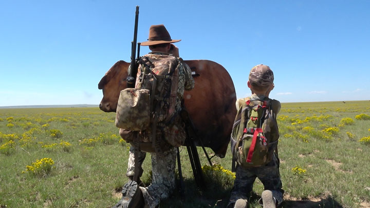 Glassing from behind a cow blind