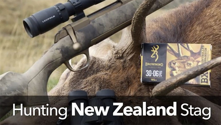 new_zealand_stag_vid_f.jpg
