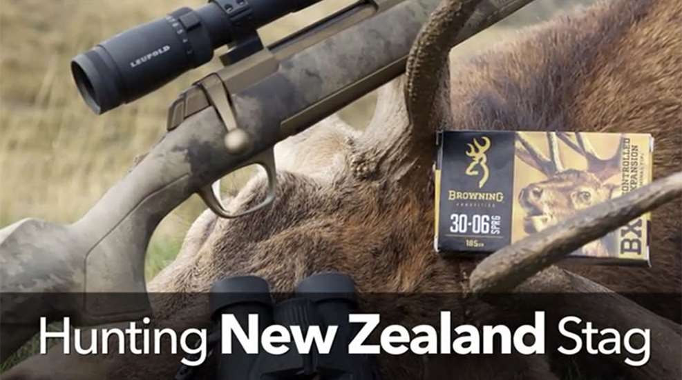 new_zealand_stag_vid_f.jpg