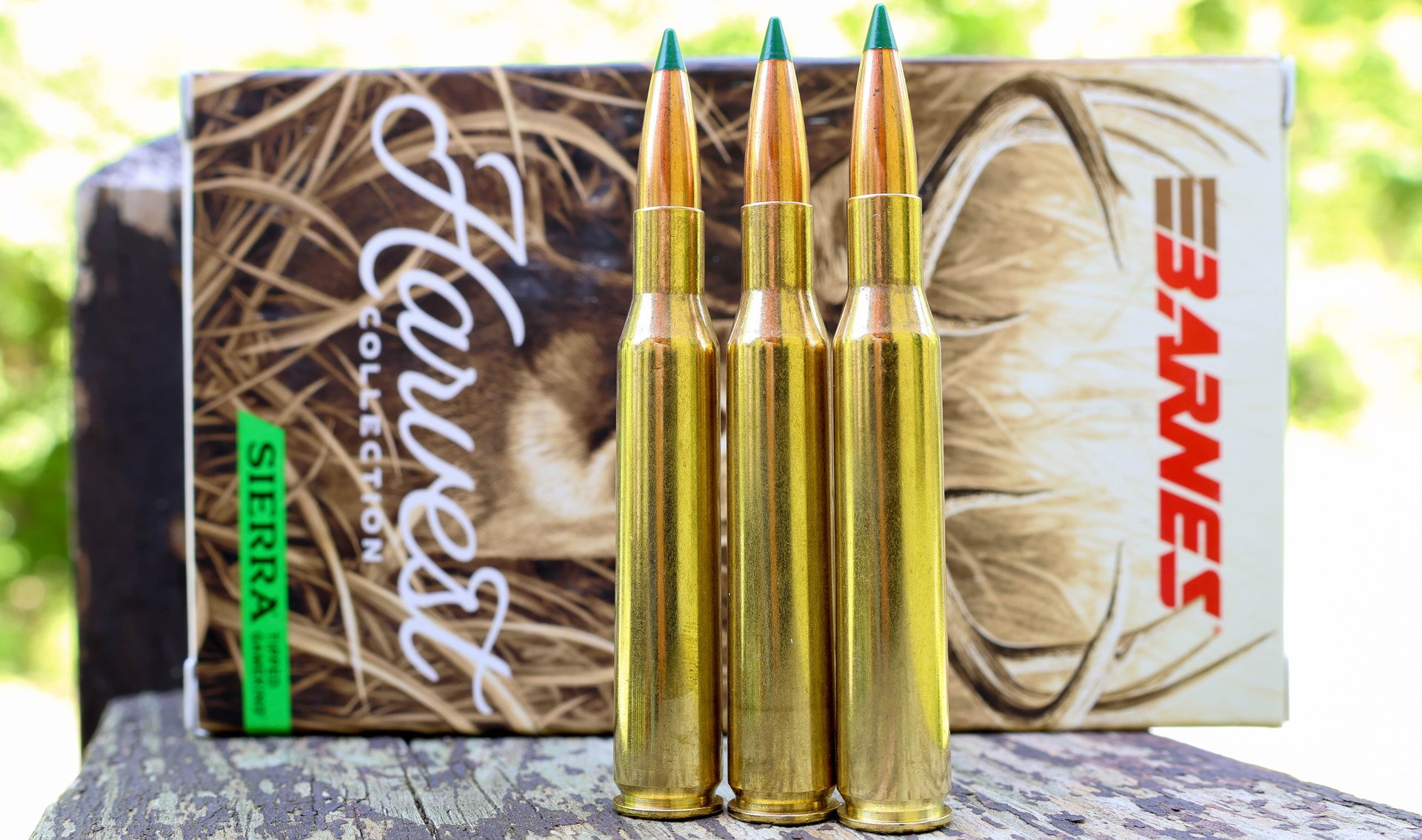 270 Winchester