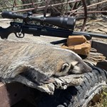 Varmint Hunting 101: Tips and Overview | An Official Journal Of The NRA