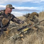 How To Pull Coyotes Close | An Official Journal Of The NRA